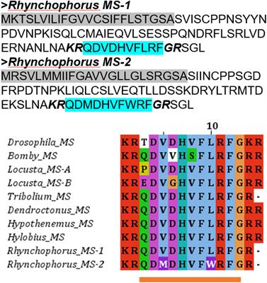 Neuropeptides and G-Protein Coupled Receptors (GPCRs) in the Red Palm Weevil Rhynchophorus ferrugineus Olivier (Coleoptera: Dryophthoridae)